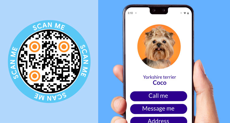 Create a Dog Tag QR Code Easily